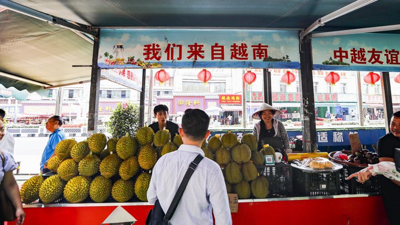 的合同条款